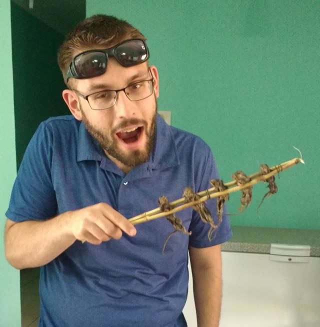 IMG_20170615_151649648