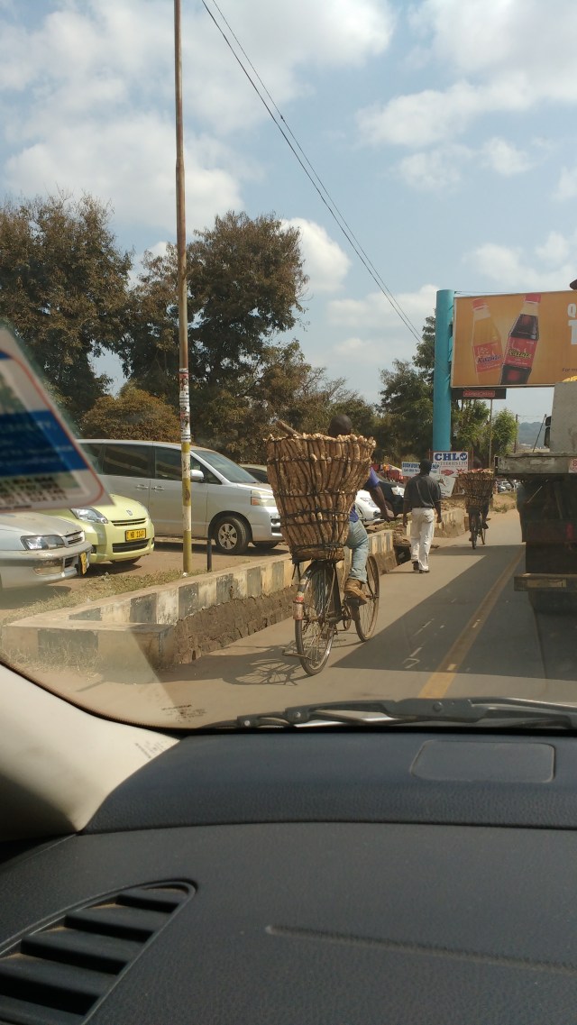 IMG_20170705_111625955