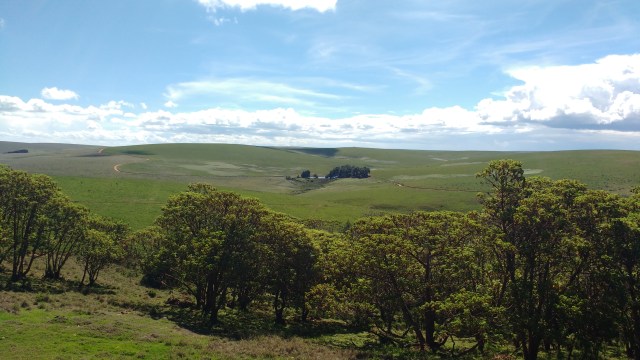 IMG_20171205_135143097