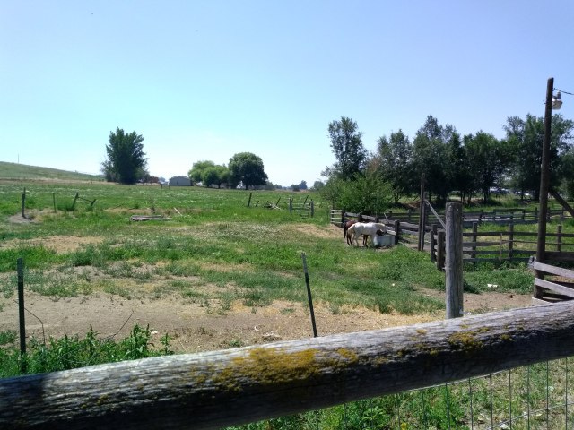 img_20180719_1315224031